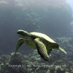 GPS-IMG_1434